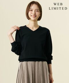 J.PRESS / ジェイプレス ニット・セーター | 【WEB限定・人気定番アイテム・シーンレスに活躍】PRINCE Vネック ニット