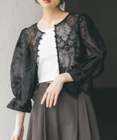 オーガンジー刺繍クロップドブラウス