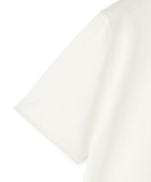 KEITH Lサイズ / キースエルサイズ カットソー | 【Lサイズ】ストライプジャージーポロカラーカットソー | 詳細9