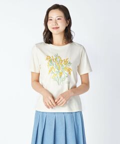 ４０／２天竺カットソー