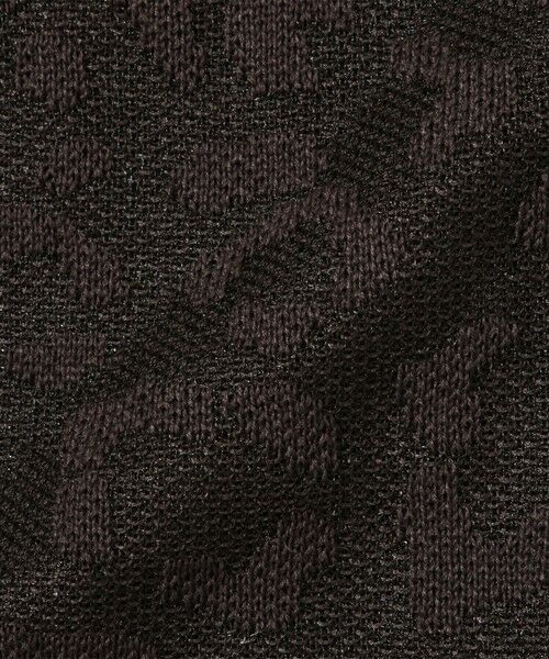 ketty / ケティ ニット・セーター | シアーレオパードジャガードニット≪手洗い可能≫ | 詳細17