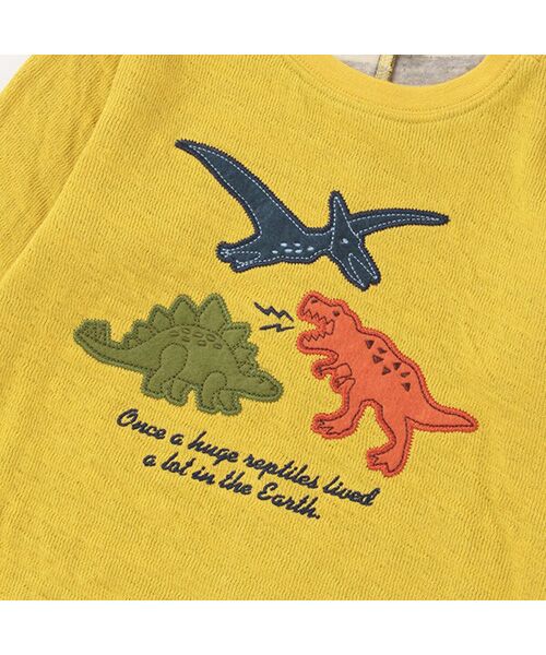 kladskap / クレードスコープ Tシャツ | 恐竜接結長袖Tシャツ | 詳細4