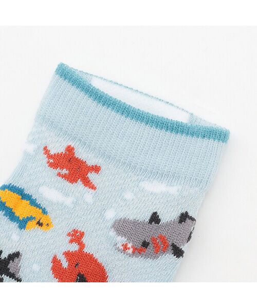 kladskap / クレードスコープ ソックス | 深海スニーカーインソックス | 詳細1