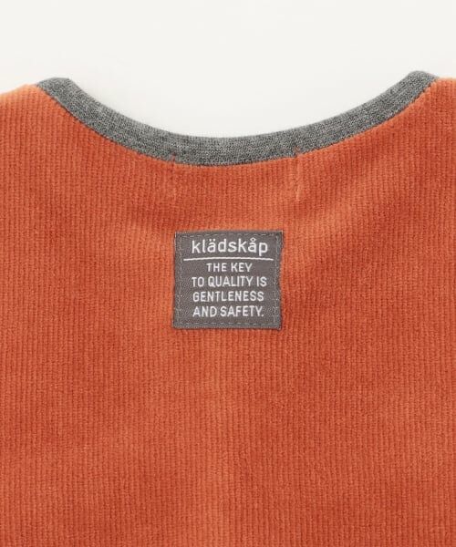 kladskap / クレードスコープ ロンパース | 恐竜ボーダーレイヤード風カバーオール | 詳細7