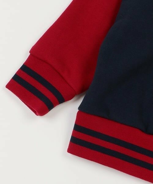 kladskap / クレードスコープ スウェット | 雄叫びザウルス配色ロゴトレーナー | 詳細4