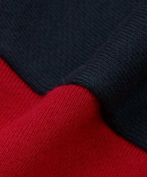 kladskap / クレードスコープ スウェット | 雄叫びザウルス配色ロゴトレーナー | 詳細7