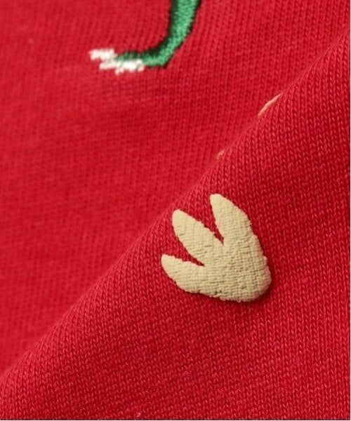 kladskap / クレードスコープ Tシャツ | 恐竜刺しゅう長袖Tシャツ | 詳細10