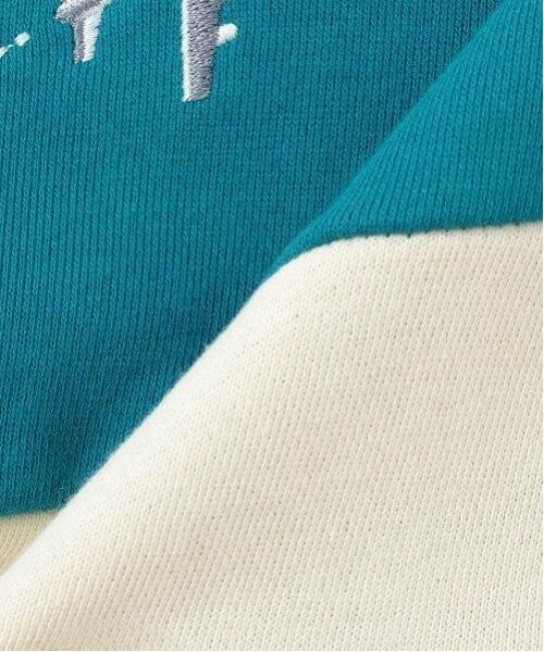 kladskap / クレードスコープ スウェット | 列車の旅切替トレーナー | 詳細8