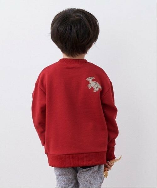 kladskap / クレードスコープ スウェット | 恐竜アップリケサイドポケットトレーナー | 詳細11