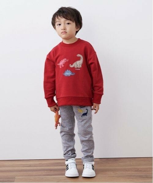 kladskap / クレードスコープ スウェット | 恐竜アップリケサイドポケットトレーナー | 詳細12