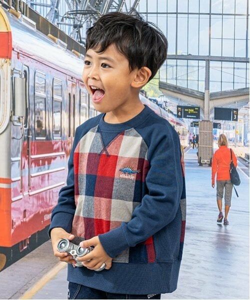 kladskap / クレードスコープ スウェット | 恐竜チェック切替トレーナー（紺）