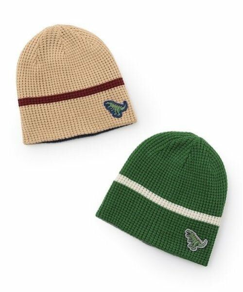 kladskap / クレードスコープ ニットキャップ | 恐竜アップリケリバーシブルニット帽 | 詳細17