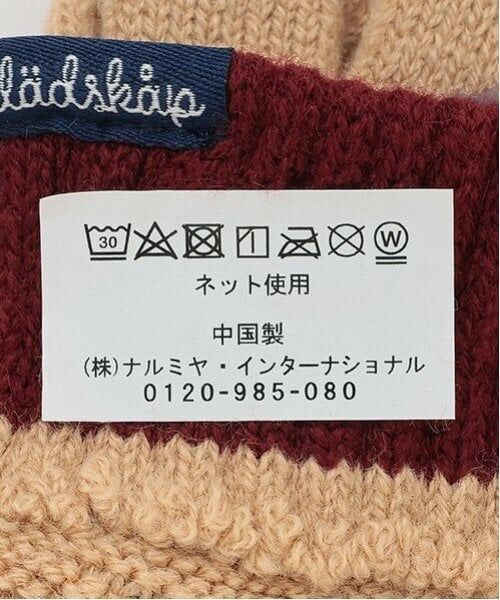 kladskap / クレードスコープ 手袋 | 恐竜ワッペン伸び伸び手袋 | 詳細7