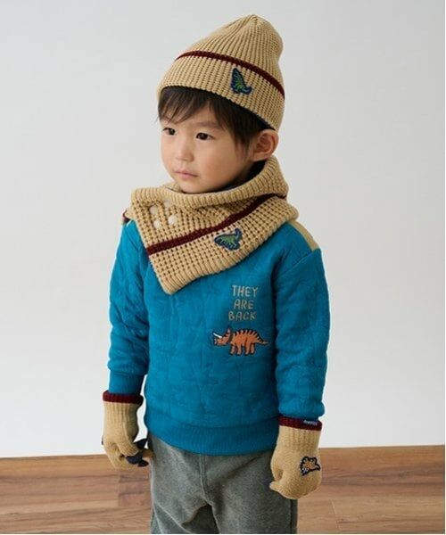 kladskap / クレードスコープ マフラー・ショール・スヌード・ストール | 恐竜ワッペンリバーシブルスヌード | 詳細4