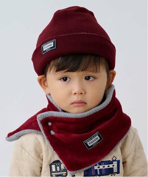 kladskap / クレードスコープ マフラー・ショール・スヌード・ストール | 電車JQリバーシブルスヌード | 詳細1