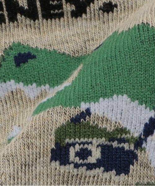 kladskap / クレードスコープ ソックス | 旅ザウルスクルーソックス | 詳細6