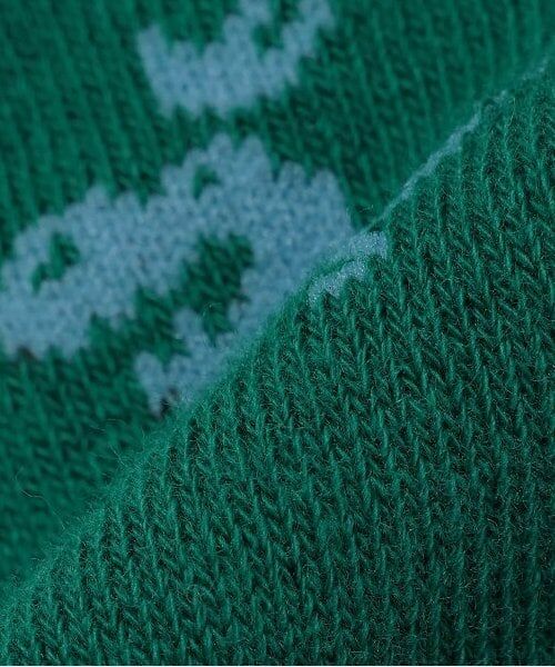 kladskap / クレードスコープ ソックス | 恐竜総柄クルーソックス | 詳細5