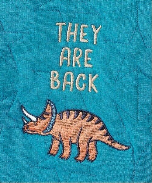 kladskap / クレードスコープ スウェット | 恐竜刺繍キルトトレーナー | 詳細7