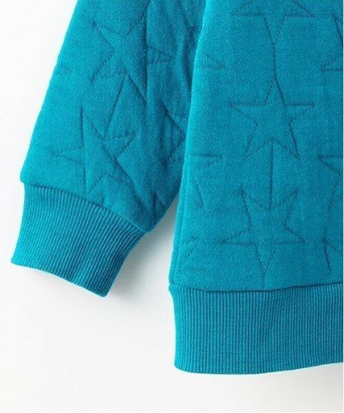 kladskap / クレードスコープ スウェット | 恐竜刺繍キルトトレーナー | 詳細8