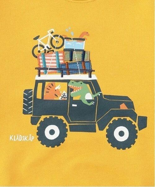 kladskap / クレードスコープ スウェット | ドライブザウルストレーナー | 詳細11