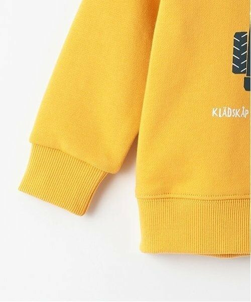 kladskap / クレードスコープ スウェット | ドライブザウルストレーナー | 詳細12