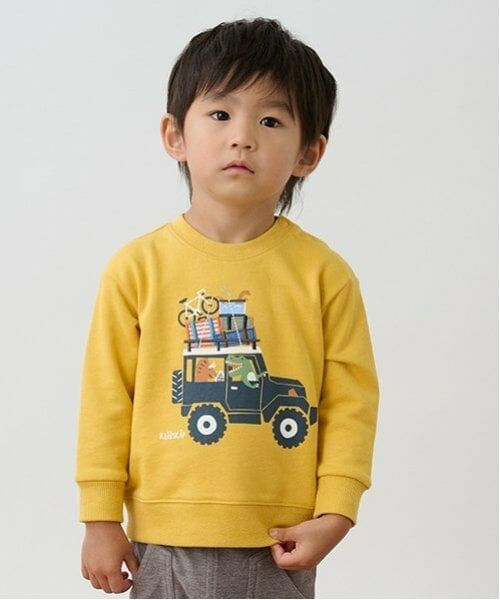 kladskap / クレードスコープ スウェット | ドライブザウルストレーナー（カラシ）