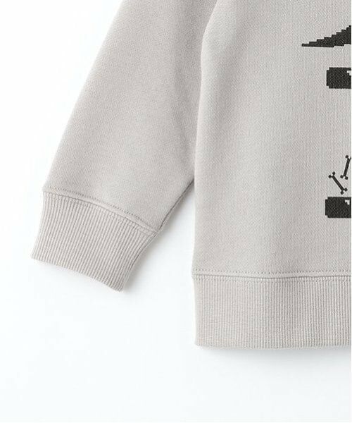 kladskap / クレードスコープ スウェット | 恐竜ゲームトレーナー | 詳細10