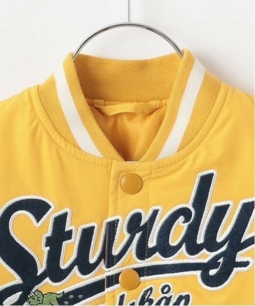 kladskap / クレードスコープ ブルゾン | 恐竜スタジャン | 詳細8