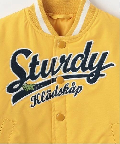 kladskap / クレードスコープ ブルゾン | 恐竜スタジャン | 詳細9