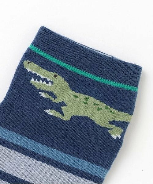 kladskap / クレードスコープ ソックス | 恐竜ショートソックス2足セット | 詳細1