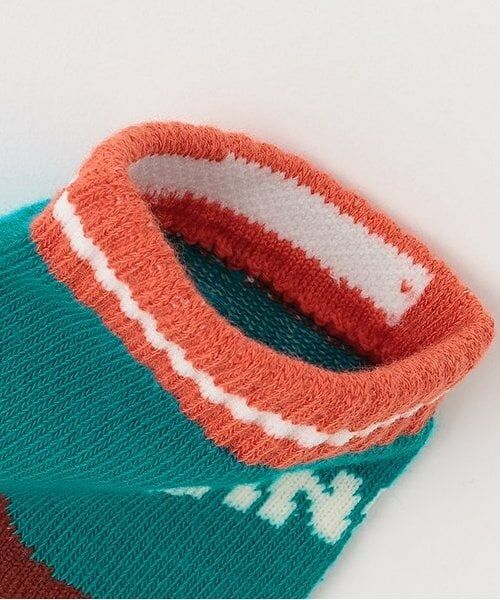 kladskap / クレードスコープ ソックス | 恐竜ショートソックス | 詳細2