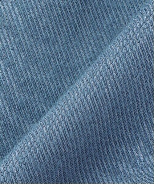 kladskap / クレードスコープ ショート・ハーフ・半端丈パンツ | スケボーザウルス6分丈パンツ | 詳細11