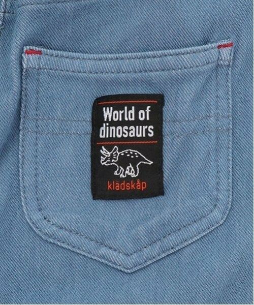 kladskap / クレードスコープ ショート・ハーフ・半端丈パンツ | スケボーザウルス6分丈パンツ | 詳細9