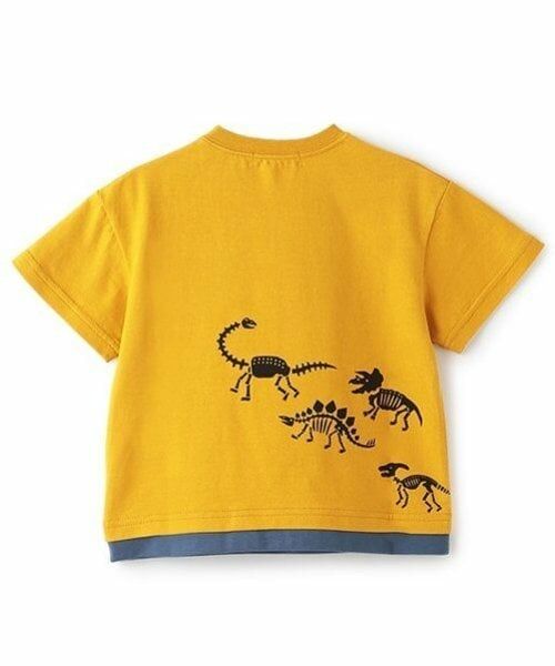 kladskap / クレードスコープ Tシャツ | 化石プリント胸ポケット半袖Tシャツ | 詳細1