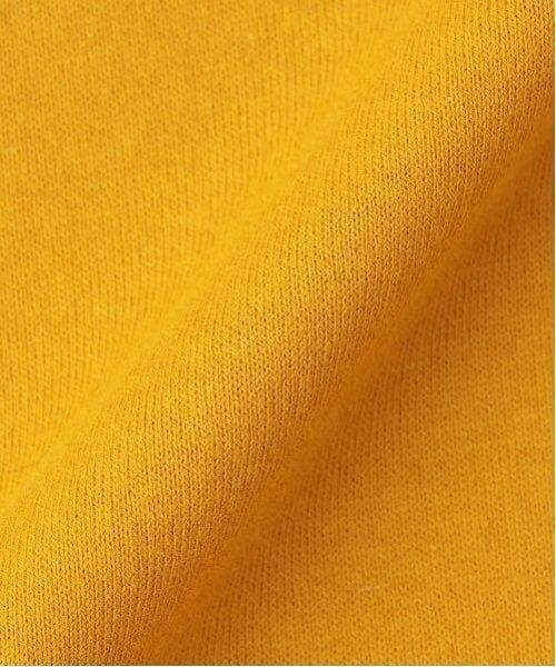 kladskap / クレードスコープ Tシャツ | 化石プリント胸ポケット半袖Tシャツ | 詳細8