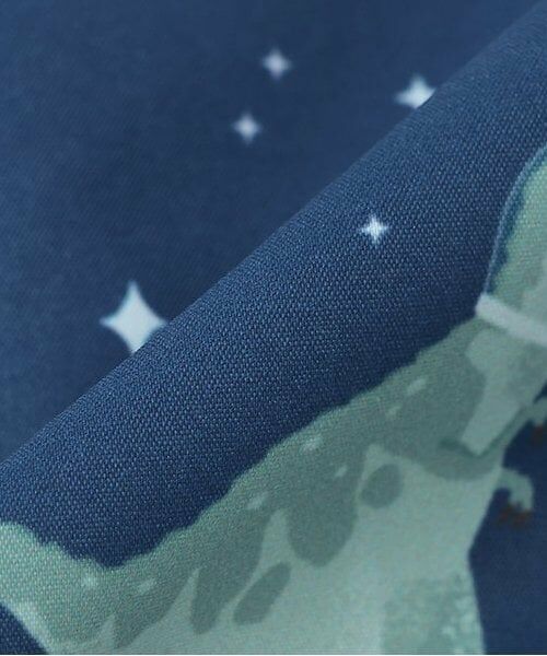 kladskap / クレードスコープ ブルゾン | 恐竜リバーシブルウィンドブレーカー | 詳細12