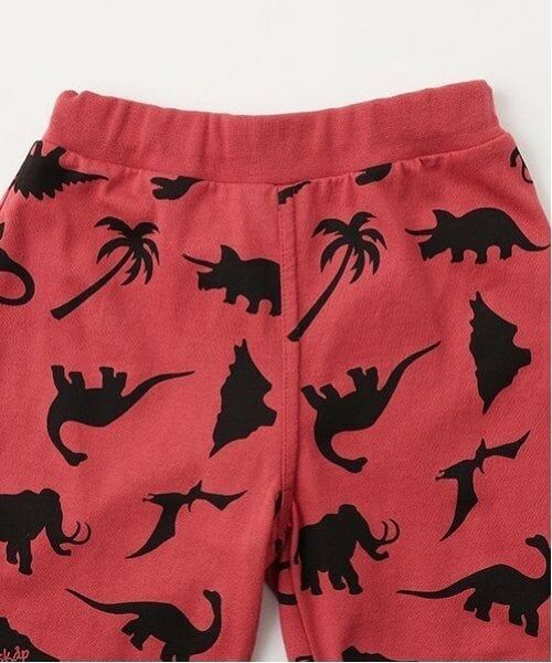 kladskap / クレードスコープ Tシャツ | 恐竜アップリケ半袖Tシャツセットアップ | 詳細10