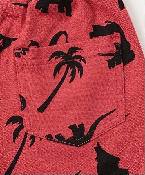 kladskap / クレードスコープ Tシャツ | 恐竜アップリケ半袖Tシャツセットアップ | 詳細13