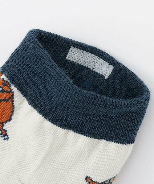 kladskap / クレードスコープ ソックス | 恐竜柄ショートソックス2足セット | 詳細3