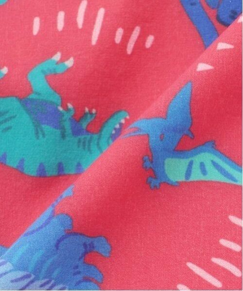 kladskap / クレードスコープ ショート・ハーフ・半端丈パンツ | 水陸両用恐竜総柄5分丈パンツ | 詳細7