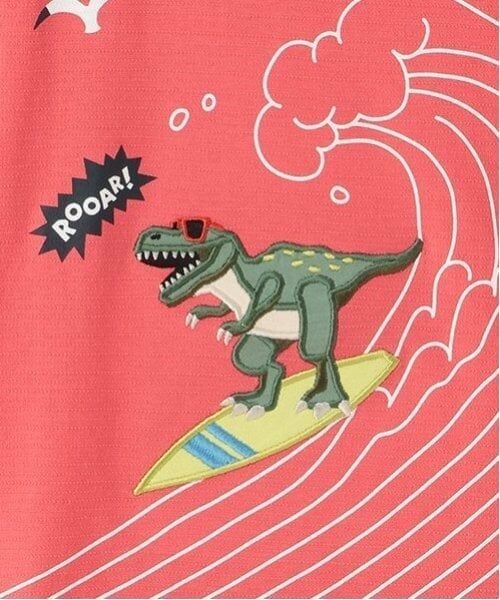 kladskap / クレードスコープ Tシャツ | サーフィンザウルス半袖Tシャツ | 詳細5