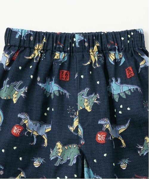 kladskap / クレードスコープ 着物・浴衣・小物類 | 恐竜柄甚平 | 詳細9