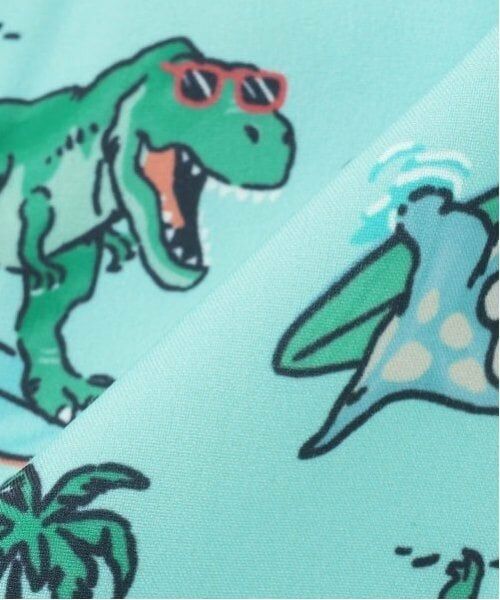 kladskap / クレードスコープ 水着・スイムグッズ | 【SWIM】恐竜総柄スイムパンツ | 詳細6