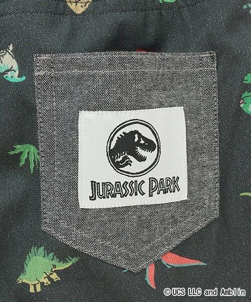 kladskap / クレードスコープ ショート・ハーフ・半端丈パンツ | 【JURASSIC】恐竜総柄5分丈パンツ | 詳細6