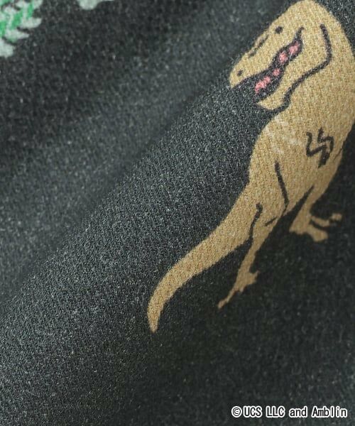 kladskap / クレードスコープ ショート・ハーフ・半端丈パンツ | 【JURASSIC】恐竜総柄5分丈パンツ | 詳細7