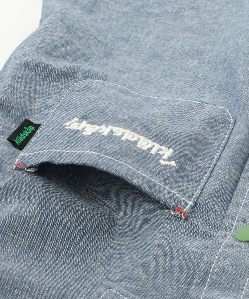 kladskap / クレードスコープ シャツ・ブラウス | 恐竜ヒョッコリ刺しゅう長袖シャツ | 詳細6