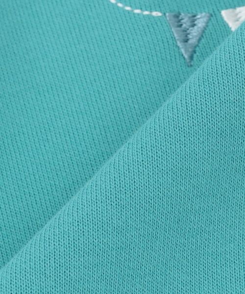 kladskap / クレードスコープ スウェット | サーカスライオントレーナー | 詳細7