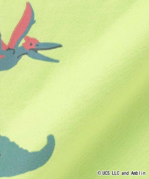 kladskap / クレードスコープ Tシャツ | 【JURASSIC】恐竜集合半袖Tシャツ | 詳細8