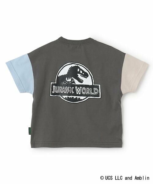 kladskap / クレードスコープ Tシャツ | 【JURASSIC】恐竜クレイジーカラー半袖Tシャツ | 詳細1