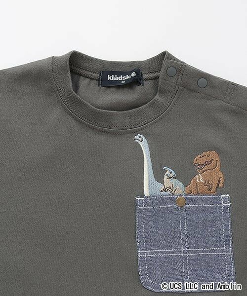 kladskap / クレードスコープ Tシャツ | 【JURASSIC】恐竜クレイジーカラー半袖Tシャツ | 詳細2